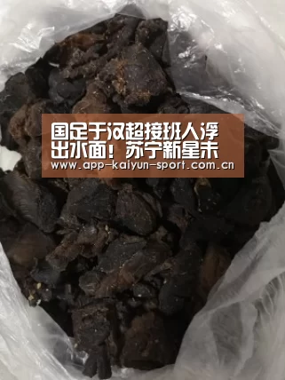 开云体育